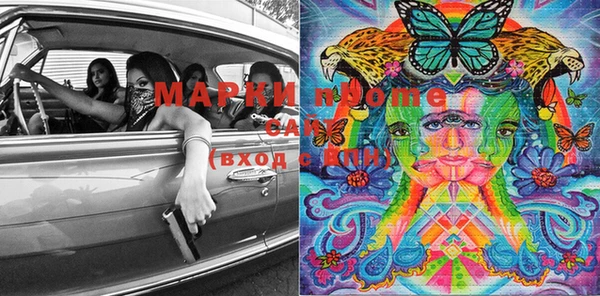 индика Майский