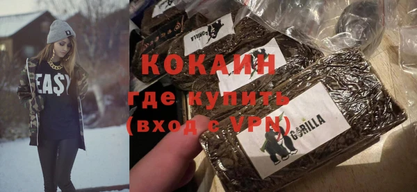 индика Майский