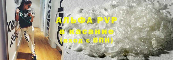 индика Майский