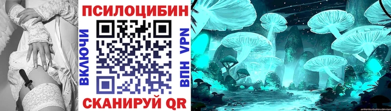 цена наркотик  маркетплейс клад  Псилоцибиновые грибы MAGIC MUSHROOMS  Щёлково 